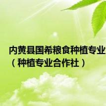 内黄县国希粮食种植专业合作社（种植专业合作社）