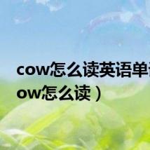 cow怎么读英语单词（cow怎么读）