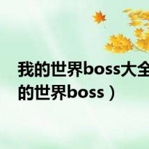 我的世界boss大全（我的世界boss）