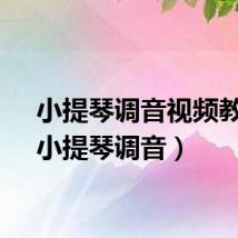 小提琴调音视频教程（小提琴调音）