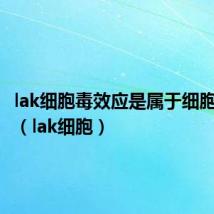 lak细胞毒效应是属于细胞免疫吗（lak细胞）