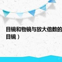 目镜和物镜与放大倍数的关系（目镜）