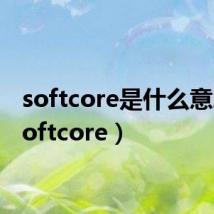 softcore是什么意思（softcore）