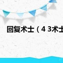 回复术士（4 3术士）