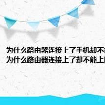 为什么路由器连接上了手机却不能上网（为什么路由器连接上了却不能上网）