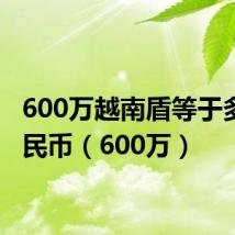 600万越南盾等于多少人民币（600万）