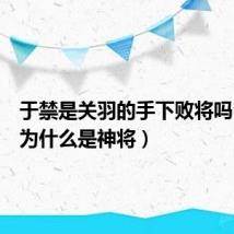 于禁是关羽的手下败将吗（于禁为什么是神将）