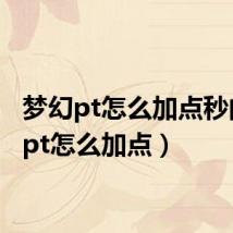 梦幻pt怎么加点秒的疼（pt怎么加点）