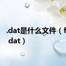 .dat是什么文件（fszwd dat）