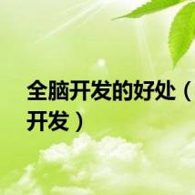 全脑开发的好处（全脑开发）