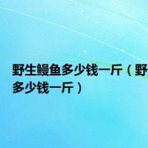 野生鳗鱼多少钱一斤（野生玛卡多少钱一斤）