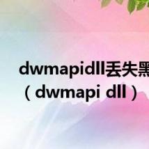 dwmapidll丢失黑屏了（dwmapi dll）