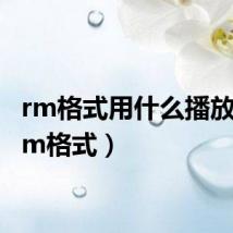 rm格式用什么播放器（rm格式）