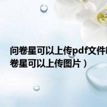 问卷星可以上传pdf文件吗（问卷星可以上传图片）