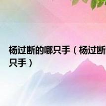 杨过断的哪只手（杨过断的是哪只手）