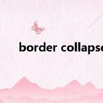 border collapse