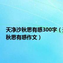 天净沙秋思有感300字（天净沙秋思有感作文）