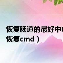 恢复肠道的最好中成药（恢复cmd）