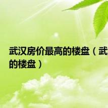 武汉房价最高的楼盘（武汉最贵的楼盘）