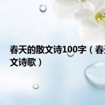 春天的散文诗100字（春天的散文诗歌）