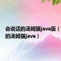 会说话的汤姆猫java版（会说话的汤姆猫java）