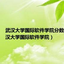 武汉大学国际软件学院分数线（武汉大学国际软件学院）