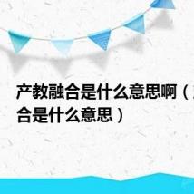 产教融合是什么意思啊（产教融合是什么意思）