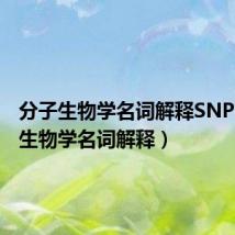 分子生物学名词解释SNP（分子生物学名词解释）