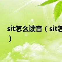 sit怎么读音（sit怎么读）