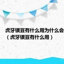 虎牙银豆有什么用为什么会有操盘（虎牙银豆有什么用）