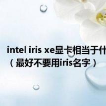 intel iris xe显卡相当于什么级别（最好不要用iris名字）