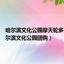 哈尔滨文化公园摩天轮多高（哈尔滨文化公园团购）