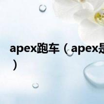 apex跑车（apex是什么）