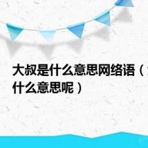 大叔是什么意思网络语（大暑是什么意思呢）