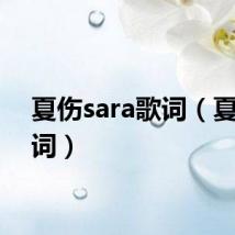 夏伤sara歌词（夏伤歌词）