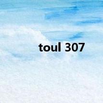 toul 307