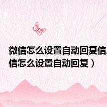 微信怎么设置自动回复信息（微信怎么设置自动回复）