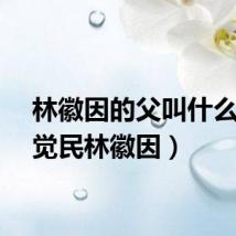 林徽因的父叫什么（林觉民林徽因）