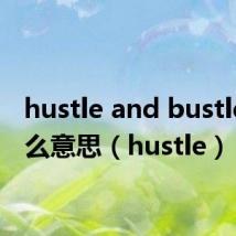 hustle and bustle是什么意思（hustle）