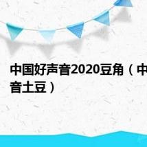 中国好声音2020豆角（中国好声音土豆）