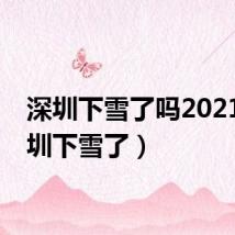 深圳下雪了吗2021（深圳下雪了）