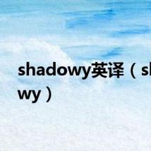 shadowy英译（shadowy）