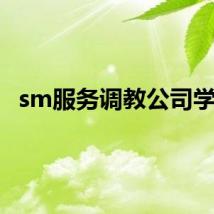 sm服务调教公司学校