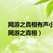 网游之真相有声小说（网游之真相）