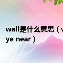 wall是什么意思（wall eye near）