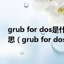 grub for dos是什么意思（grub for dos）