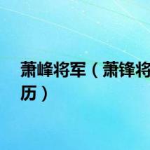 萧峰将军（萧锋将军简历）