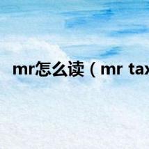 mr怎么读（mr taxi）