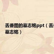 丢番图的墓志铭ppt（丢番图的墓志铭）