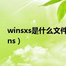 winsxs是什么文件（wins）